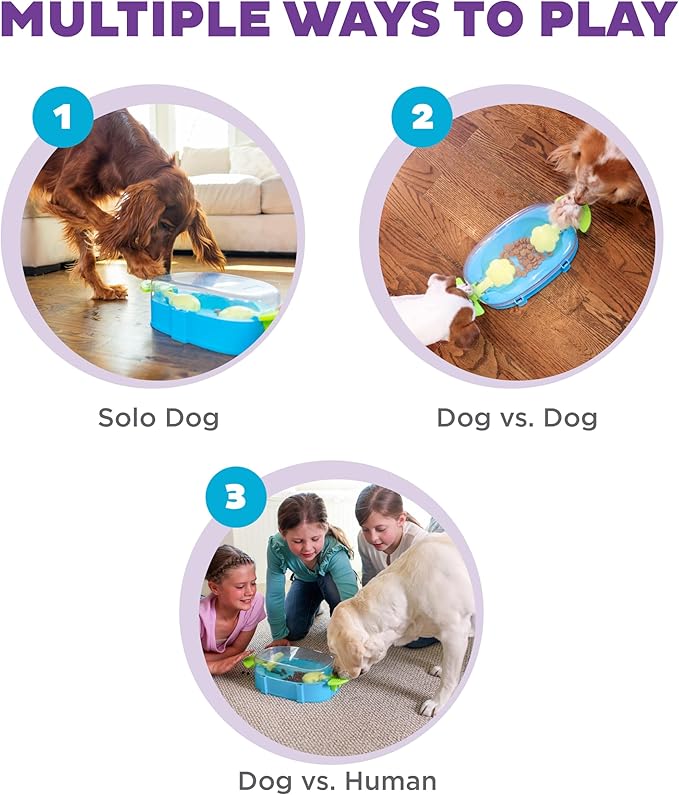 Outward Hound Nina Ottosson Paw N' Play Interactive Dog Treat Puzzle, Level 2 Intermediate Dog Enrichment Dog Toy, Blue, Small