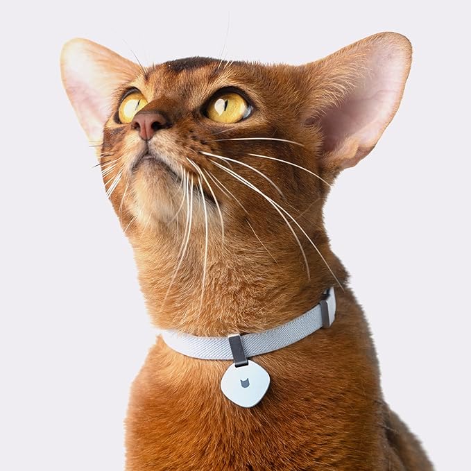 Safety Cat Collar Pro - U.S. IDA Gold Awarding Design, Elastic Quick Release Cat Collar with Buckle Non Breakaway - Lightweight for Kitten All Small Large Cats (Linen, S 5.9-11.8")
