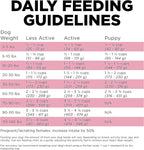 Go! Solutions Skin + Coat Care, Dry Dog Food, Lamb Recipe with Grains, 12 lb Bag