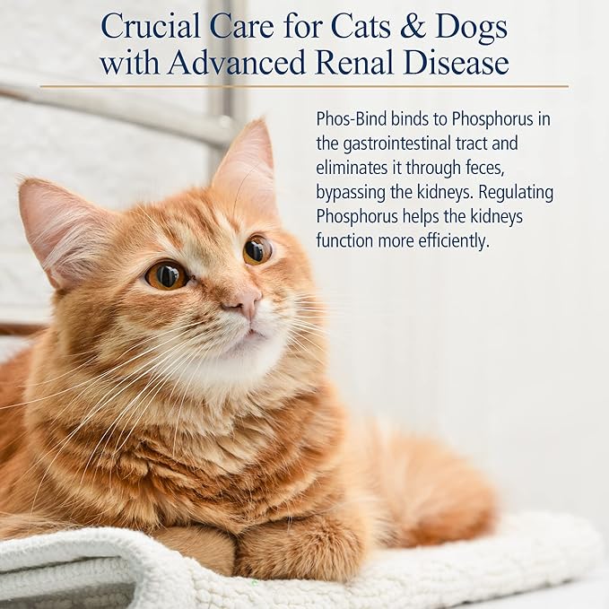 Rx Vitamins Phos-Bind - Kidney Support Supplement Powder - Phosphate Binder for Cats & Dogs for Kidney Health - Supports Normal Kidney Cleanse and Essential Kidney Care - 200g