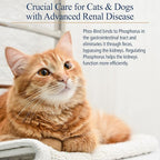 Rx Vitamins Phos-Bind - Kidney Support Supplement Powder - Phosphate Binder for Cats & Dogs for Kidney Health - Supports Normal Kidney Cleanse and Essential Kidney Care - 200g