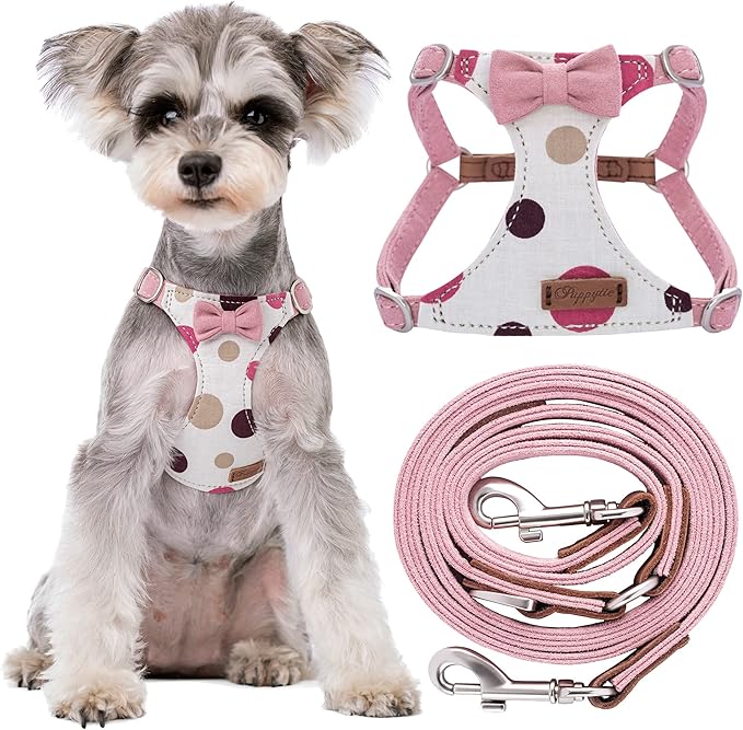 Puppytie No Pull Small Dog Harness with Multifunction Dog Leash,Lightweight Soft Adjustable No Choke Escape Proof Pet Harness Vest Pet Harness Vest,Polka dots Pink,S
