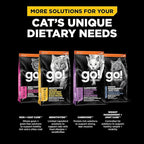 Go! Solutions Digestion + Gut Health, Dry Cat Food, Salmon Recipe with Ancient Grains, 3 lb Bag
