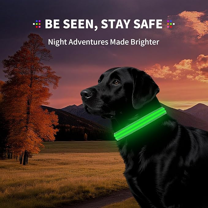 LED Dog Collar with Metal Buckle - USB Rechargeable Glow Collar for Dogs, Waterproof Light Up Dog Collar w/Reflective Strips - Adjustable Night Safety Collars by PetIsay(Green,Medium)