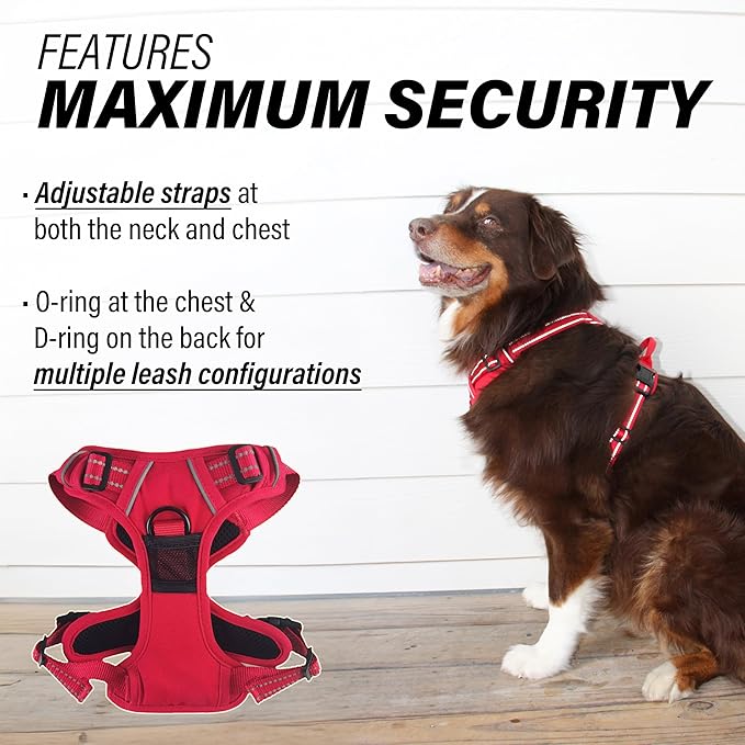 Doggie Design Venture Paw No Pull Dog Harness - Simple Adjustable Puppy Harness - Anti Pull Dog Collar for Walks and Outdoor Adventures - Crimson, XL