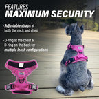 Doggie Design Venture Paw No Pull Dog Harness - Simple Adjustable Puppy Harness - Anti Pull Dog Collar for Walks and Outdoor Adventures - Wild Raspberry, M