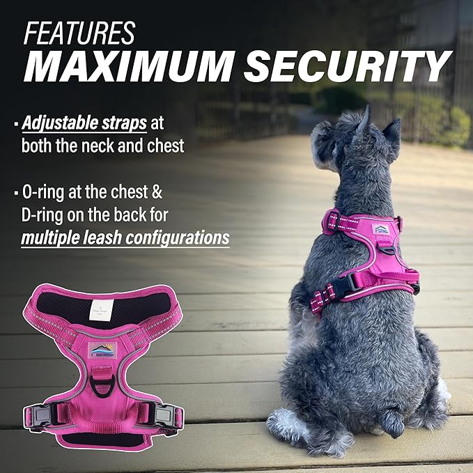 Doggie Design Venture Paw No Pull Dog Harness - Simple Adjustable Puppy Harness - Anti Pull Dog Collar for Walks and Outdoor Adventures - Wild Raspberry, M