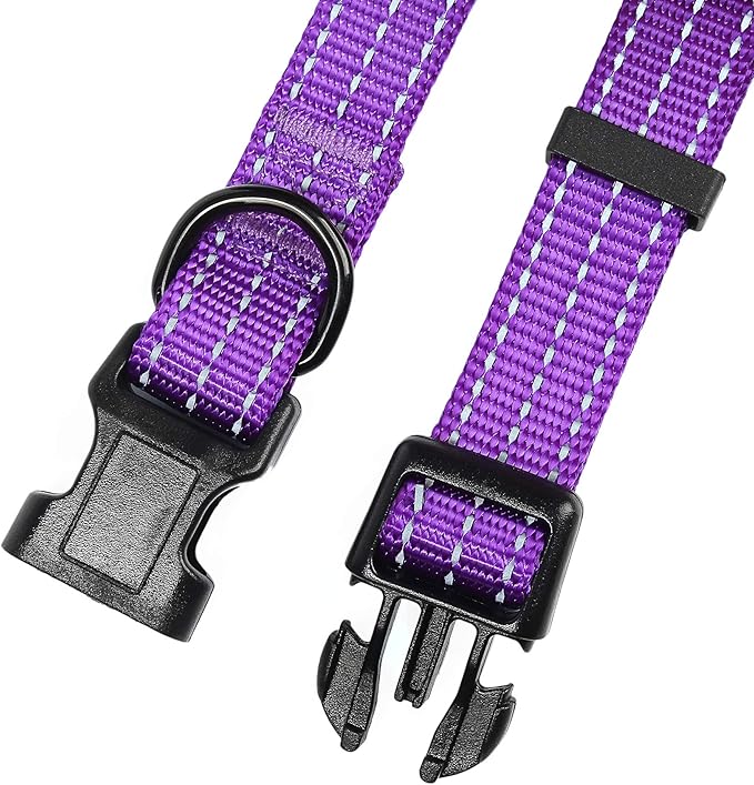 Mile High Life Dog Collar | Nylon Reflective Dog Collars | Light Weight Puppy Collars | Purple Dog Collars for Small Dogs (Solid Purple, X-Small)