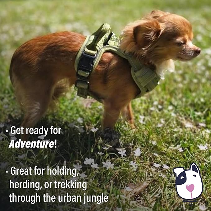 Doggie Design Venture Paw No Pull Dog Harness - Simple Adjustable Puppy Harness - Anti Pull Dog Collar for Walks and Outdoor Adventures - Aspen, XS
