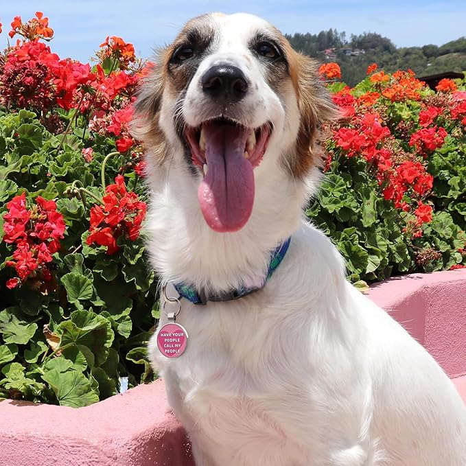 MYLUCKYTAG QR Code Dog Tags - Scan for Instant Pet Location Alert Email