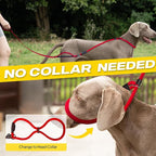 Fida 2-in-1 Slip Leads for Dogs with Double Handles, Tangle Free Leash for Large Dogs That Pull, Heavy Duty No Pull Training Leash Reflective Soft Padded for Large & Medium Breed(6ft,Red)