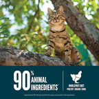 ORIJEN Guardian 8 Grain Free High Protein Premium Dry Cat Food 10lb Bag