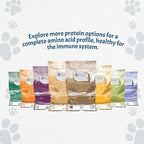 Canine Caviar - Grain Free Puppy: Chicken & Split Peas Alkaline Dry Dog Food, Limited Ingredients, Gluten-Free, Based on Science & Research, Veterinary Alternative Diet (11 Pound Bag)