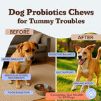 Natural Dog Company Gut Health & Canine Specific Probiotics Chews, 1 Daily Chew for All Dogs, Prebiotics & Digestive Enzymes for Digestion, Gas, Loose Stool, Immune System & Bowel Support, 45 Ct