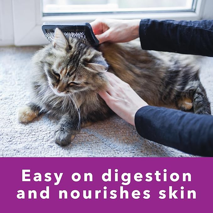 IAMS Perfect Portions Sensitive Digestion & Skin Adult Wet Cat Food Pate, Turkey Recipe, 2.6 oz. Easy Peel Twin-Pack Trays (24 Count, 48 Servings)