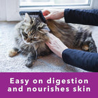 IAMS Perfect Portions Sensitive Digestion & Skin Adult Wet Cat Food Pate, Turkey Recipe, 2.6 oz. Easy Peel Twin-Pack Trays (24 Count, 48 Servings)