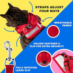 Travel Cat Harness and Leash Set - Adjustable Fit Mesh Cat Harness and Reflective Strap - Comfort Walking Vest for Kitten for Outdoor Walking, Hiking (Extra Small, Red)