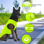 2 Pack Dog Shirts, Ice Pet Vest Dog Clothes for Instant Cooling, Lightweight Breathable Sleeveless T-Shirts for Large Dogs, Light Purple+Fluorescent Green (2XL)
