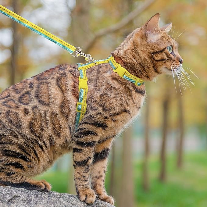 PUPTECK Adjustable Cat Harness and Leash Set Escape Proof Kitten Strap Collar for Walking Travel, Yellow Blue