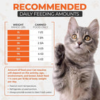 Chef Scoochie's Tender Chicken Chunks in Gravy Wet Cat Food - Easy Open Pop-Top Cans - Protein & Essential Nutrients - Gourmet Meal for Indoor & Outdoor Cats 12 Cans (14 oz e.)