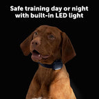 PetSafe Core Dog Trainer with Remote – Waterproof Training Collar – 1000 Foot Range – Tone, Vibration and 15 Levels of Static