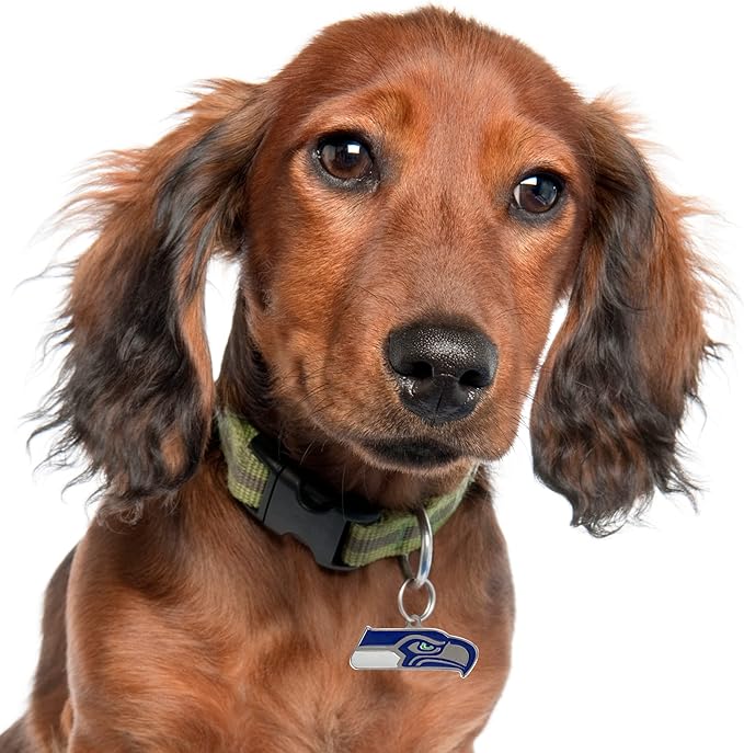 NFL Seattle Seahawks Engraving Pet ID Shapes - 32 Team Logo Dog & Cat Tags with 3 Lines of Custom Text for Tracking & Safety - Stainless Steel Pet ID Tags