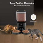 Automatic Cat Feeder for 2 Cats - 8L/34 Cups Large Capacity Auto Cat Food Dispenser with LCD Screen, 2 Food Trays, Timed Feeder, Up to 50 Portions 6 Meals Per Day, Keep Fresh