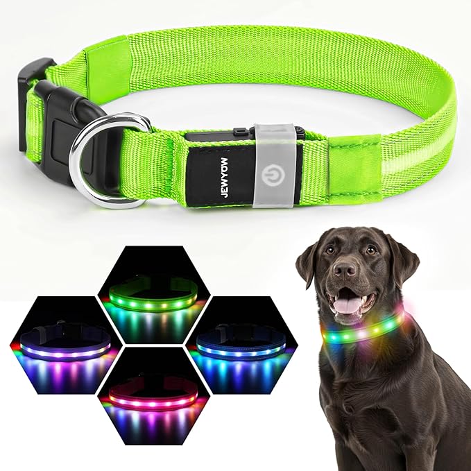 LED Dog Collar, Light Up Dog Collar, USB Rechargeable - Brightest Dog Lights for Night Walking, 6 Light Modes, Adjustable for Dog Safety(Medium, Neon Green)