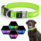 LED Dog Collar, Light Up Dog Collar, USB Rechargeable - Brightest Dog Lights for Night Walking, 6 Light Modes, Adjustable for Dog Safety(Large, Neon Green)
