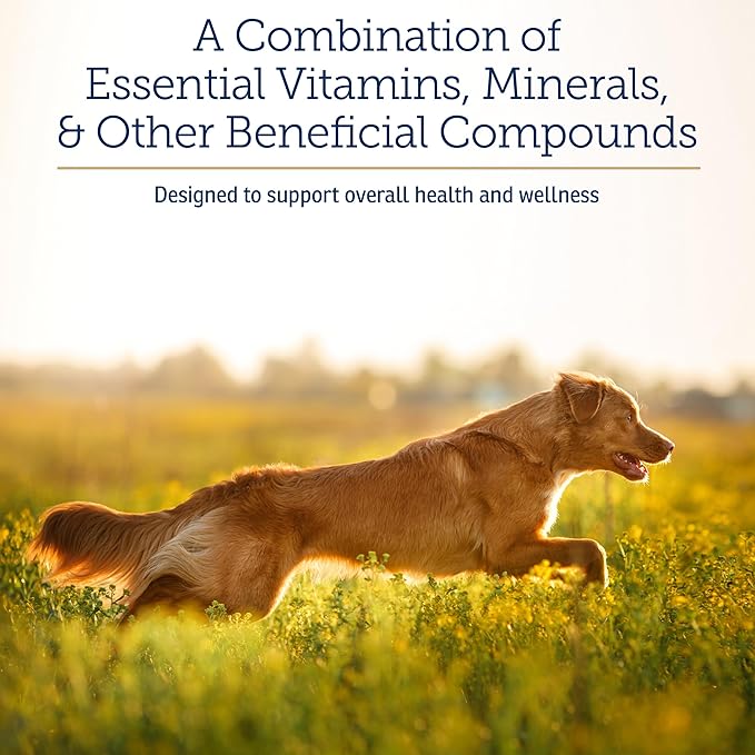 Rx Vitamins Nutritional Support - A Combination of Essential Vitamins, Minerals, & Other Beneficial Compounds for Dogs and Cats - 9.07oz