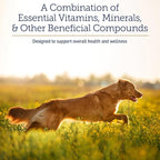 Rx Vitamins Nutritional Support - A Combination of Essential Vitamins, Minerals, & Other Beneficial Compounds for Dogs and Cats - 9.07oz