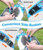 Halypet Cat Harness and Leash Set for Walking, Escape Proof Adjustable Vest Harness with 3-in-1 Integrated Buckles, Easy Control Soft Breathable Mesh with Reflective Strips for Cats, XS, Ocean Blue