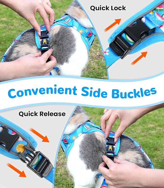 Halypet Cat Harness and Leash Set for Walking, Escape Proof Adjustable Vest Harness with 3-in-1 Integrated Buckles, Easy Control Soft Breathable Mesh with Reflective Strips for Cats, XS, Ocean Blue