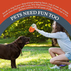 Flourish Pets 2 in 1 Multi-Layer Chew Toy for Active Dogs | Non-Toxic BPA Free Double Stitched Soft Fabric Exterior Dog Toys | Long-Lasting Dog Plush Toys – Leprechaun Snail 3.5" (2 Pack)