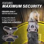 Doggie Design Venture Paw No Pull Dog Harness - Simple Adjustable Puppy Harness - Anti Pull Dog Collar for Walks and Outdoor Adventures - Dried Sage, S