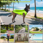 2 Pack Dog Shirts, Breathable Mesh Dog Clothes Pet Sleeveless Vest, Lightweight Stretchy Tank Top T-Shirts for Large Dogs, XL