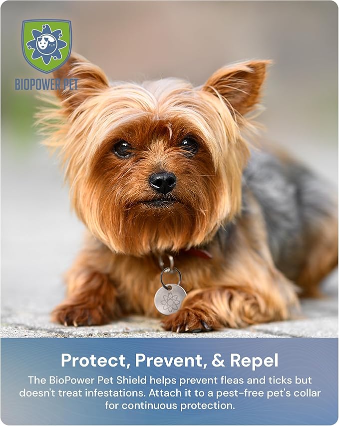 Natural Flea & Tick Repellent Collar Tag for Dogs & Cats – BioPower Pet Shield – Safe for Pets When Used as Directed – Lasts 1 Full Year - Small/Regular Tag Bundle (1 Pack)