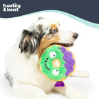 Huxley & Kent Halloween Funny Dog Toy w/Squeaker – Power Plush Squeaky Dog Toys for Small, Medium & Large Dogs – Soft Stuffed Animal for Indoor Play & Fetch - Frankenstein Donut, One Size