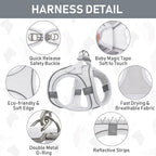 GAMUDA Small Pet Harness Collar and Leash Set, Step in No Chock No Pull Linen Fabric Soft Mesh Dog Vest Harnesses Reflective for Dogs Puppy Cats Kitten Rabbit (White, M)