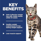 Hill's Science Diet Perfect Weight, Adult 1-6, Weight Management Support, Wet Cat Food, Chicken & Vegetables Stew, 2.8 oz Pouch, Case of 24