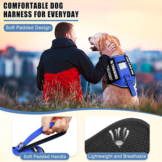 Service Dog Vest Harness+ID Tag+10 Patches,Metal Serivce Dog Tag&Reflective Emotional Support Dog Vest with Handle for Medium Dogs,Easy Put On/Off for Training/Walking/Everyday Blue M