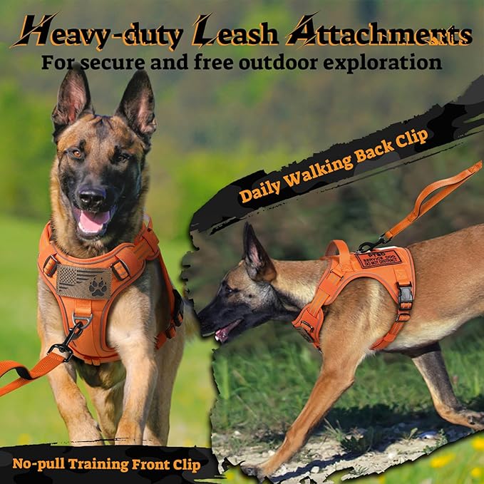 rabbitgoo Dog Harness for Large Dogs No Pull, Tactical Service Pet Vest with Molle and Control Handle, Adjustable and Reflective Military Harness for Easy Walking and Training, Orange, XL