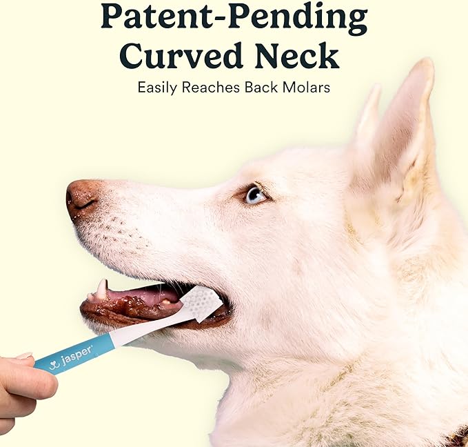 Jasper Macrobrush 360º, Dog Toothbrush for Medium to Large Dogs, Soft-Bristled Dog Tooth Brushing Kit - Premium Non-Slip Handle with 2 Replaceable Tooth Brush Heads, Use with Pet Toothpaste