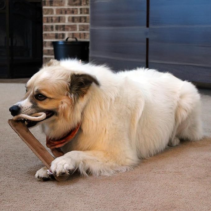 SPOT Dura-Fused Leather Retriever Dog Toy – Real Leather & Jute Fabric, Double-Stitched & Durable, Squeaky Interactive Tug Toy with Rope Handle for Moderate Chewers, Soft Stuffed Fetch Toy, 15in