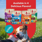 Plato Pet Treats Air Dried Dog Treats Salmon Thinkers Sticks, Natural Dog Treats, Real Meat, Air Dried, Made in the USA, 10oz