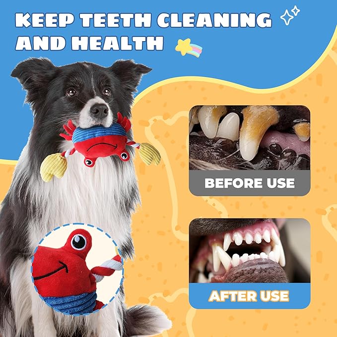 Squeak Plush Dog Toys for Small & Medium Breeds, Chew Resistant Rope to Keep Them Busy for Puppy Teething Chewing, Interactive Indoor/Outdoor Play, Best Pet Gift, Crab