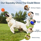 2 Pack Indestructible Squeaky Dog Balls, Cleans Teeth, Relieves Anxiety, Interactive Dog Toy for Aggressive Chewers, Rubber Ball Breeds, Outdoor Waterproof