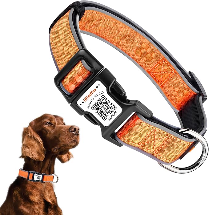 Personalized Dog Collar with QR Code tag for pet ID, Reflective Safety Collar, Suitable for Small, Medium, and Large Dogs (Orange, Large)