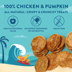 Just Chicken & Pumpkin Chips | Two Premium Ingredient & Healthy Dog Treats | All Natural Canine Rewards | Dog Training Treats for Small, Medium, and Large Breeds | Made in USA - 3oz