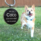 Dog Tags Personalized for Pets Custom Dog Tags Dog Name Tag QR Code Pet Tags Smart Pet ID Tags Free Online Pet Page Prevent Lost/Modifiable Colorful Paw Print